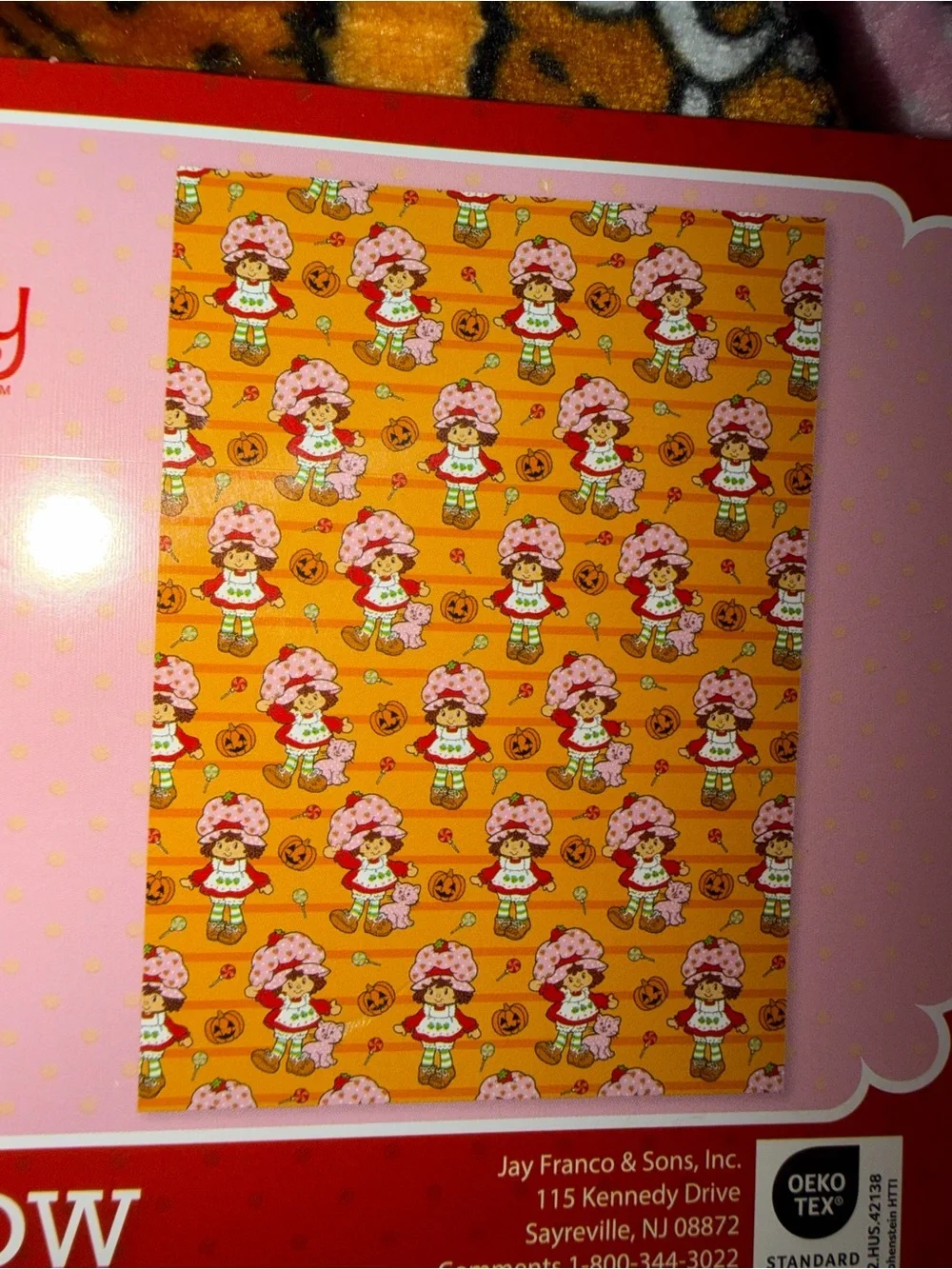 Strawberry Shortcake Orange Plush Throw Blanket - Kids Costume Accent 50 x 70 in